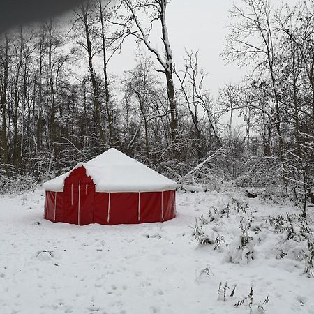 Jurten Im Garten Eden Bub Gutzkow Exterior foto
